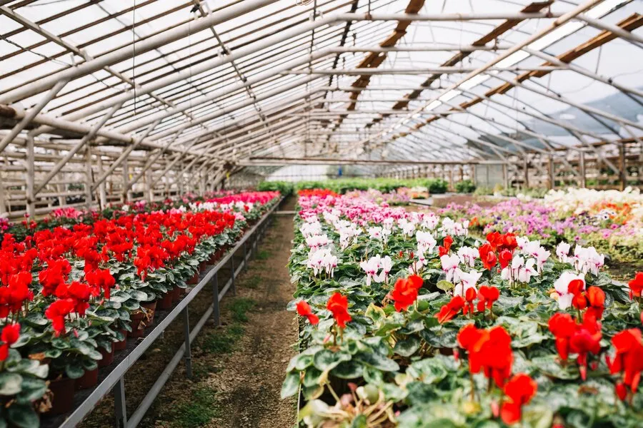 nandikoti_Flower Cold Storage